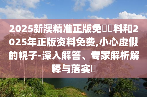 2025新澳精準正版免費資料和2025年正版資料免費,小心虛假的幌子-深入解答、專家解析解釋與落實?