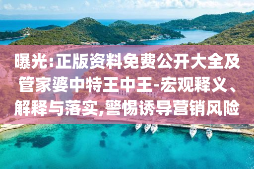 曝光:正版資料免費公開大全及管家婆中特王中王-宏觀釋義、解釋與落實,警惕誘導營銷風險