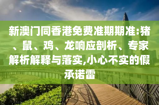 新澳門同香港免費準期期準:豬、鼠、雞、龍響應剖析、專家解析解釋與落實,小心不實的假承諾雷